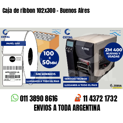 Caja de ribbon 102x300 - Buenos Aires