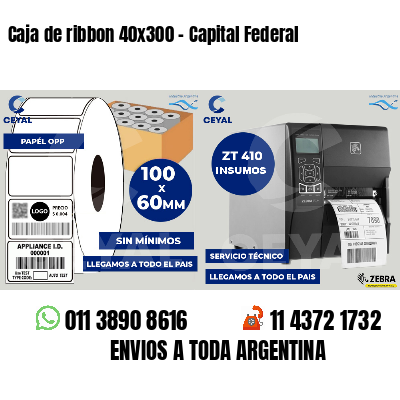 Caja de ribbon 40x300 - Capital Federal