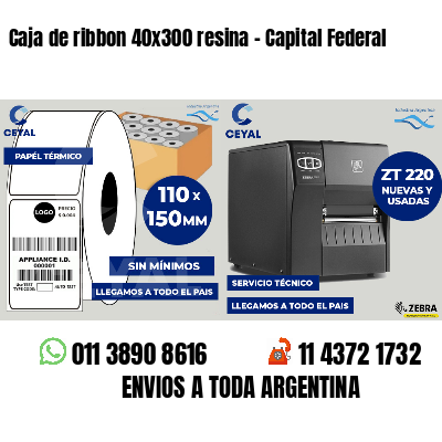 Caja de ribbon 40x300 resina - Capital Federal