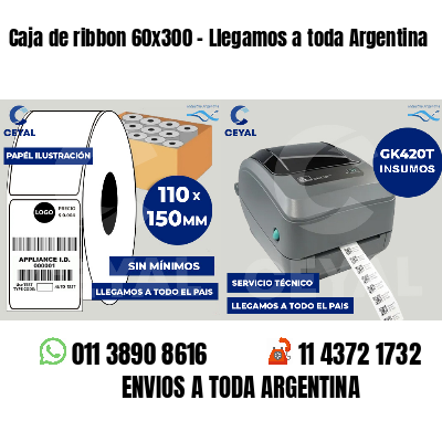 Caja de ribbon 60x300 - Llegamos a toda Argentina