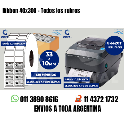 Ribbon 40x300 - Todos los rubros