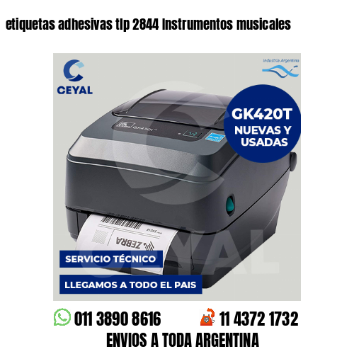 etiquetas adhesivas tlp 2844 Instrumentos musicales