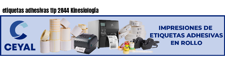 etiquetas adhesivas tlp 2844 Kinesiología