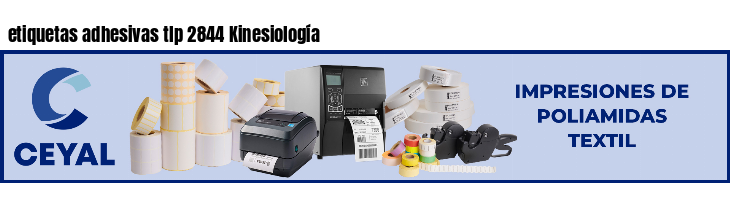 etiquetas adhesivas tlp 2844 Kinesiología