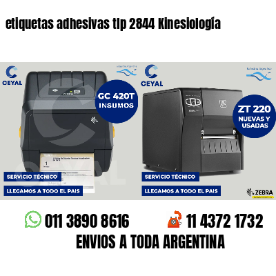 etiquetas adhesivas tlp 2844 Kinesiología