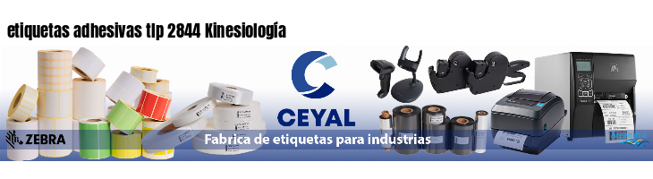 etiquetas adhesivas tlp 2844 Kinesiología