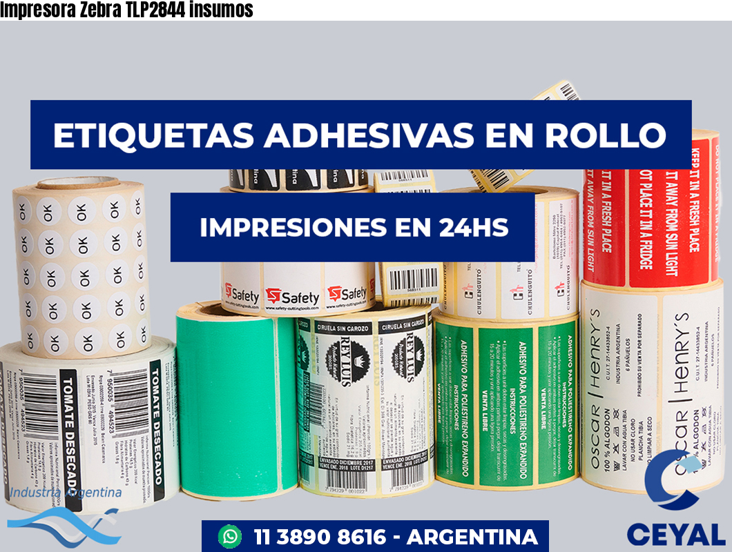 Impresora Zebra TLP2844 insumos