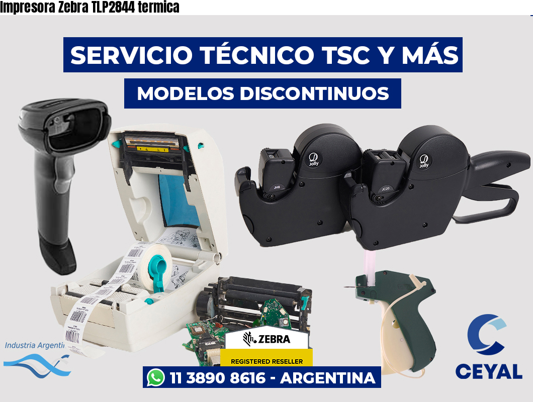Impresora Zebra TLP2844 termica