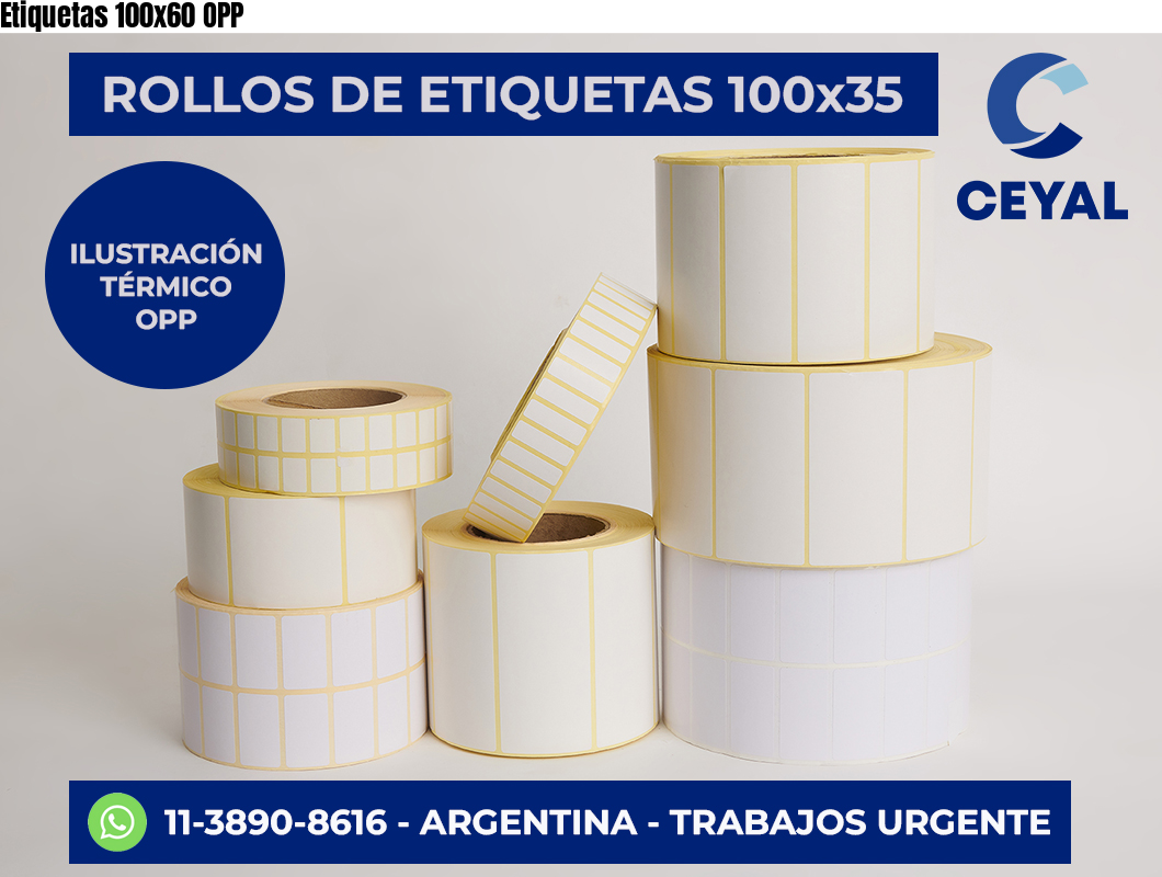 Etiquetas 100×60 OPP