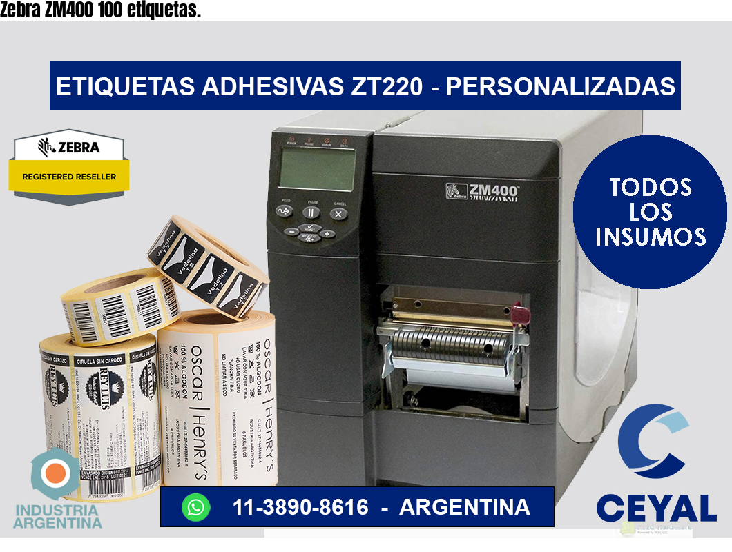 Zebra ZM400 100 etiquetas.
