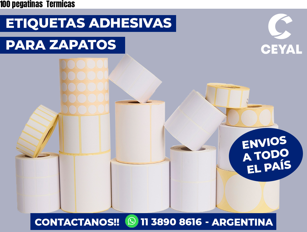 100 pegatinas  Termicas