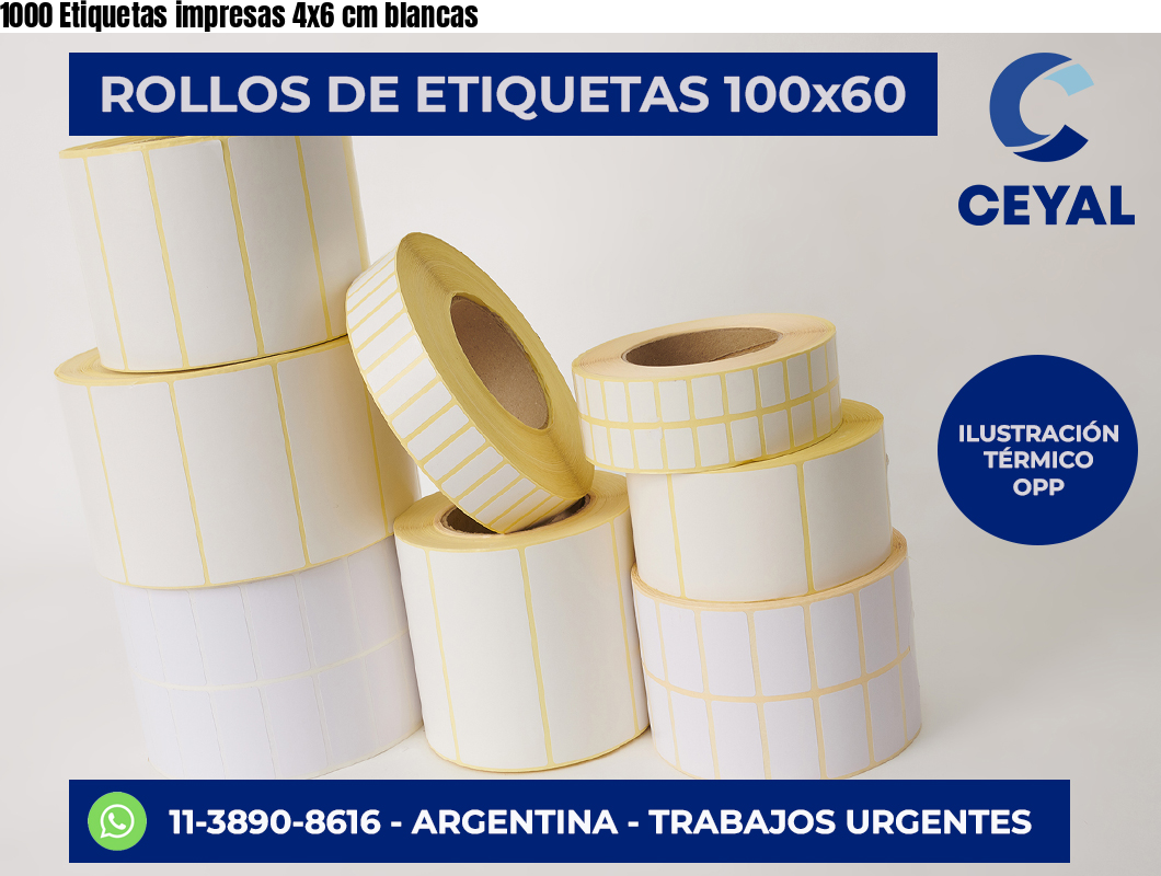 1000 Etiquetas impresas 4×6 cm blancas
