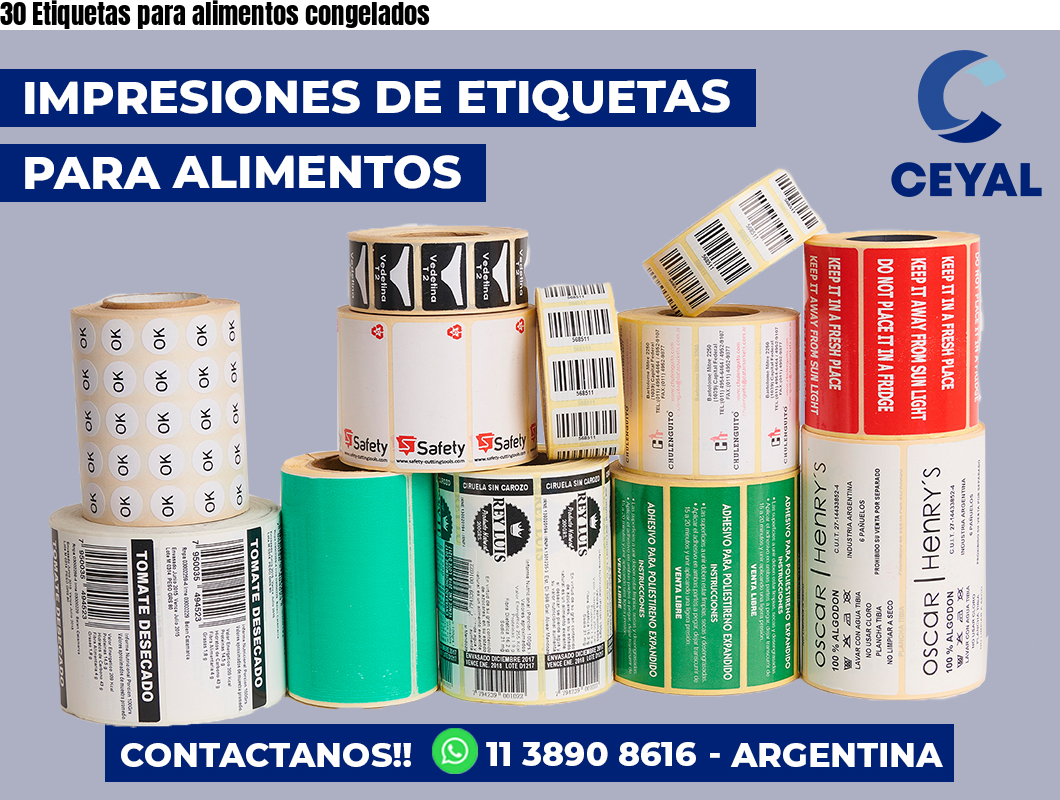 30 Etiquetas para alimentos congelados