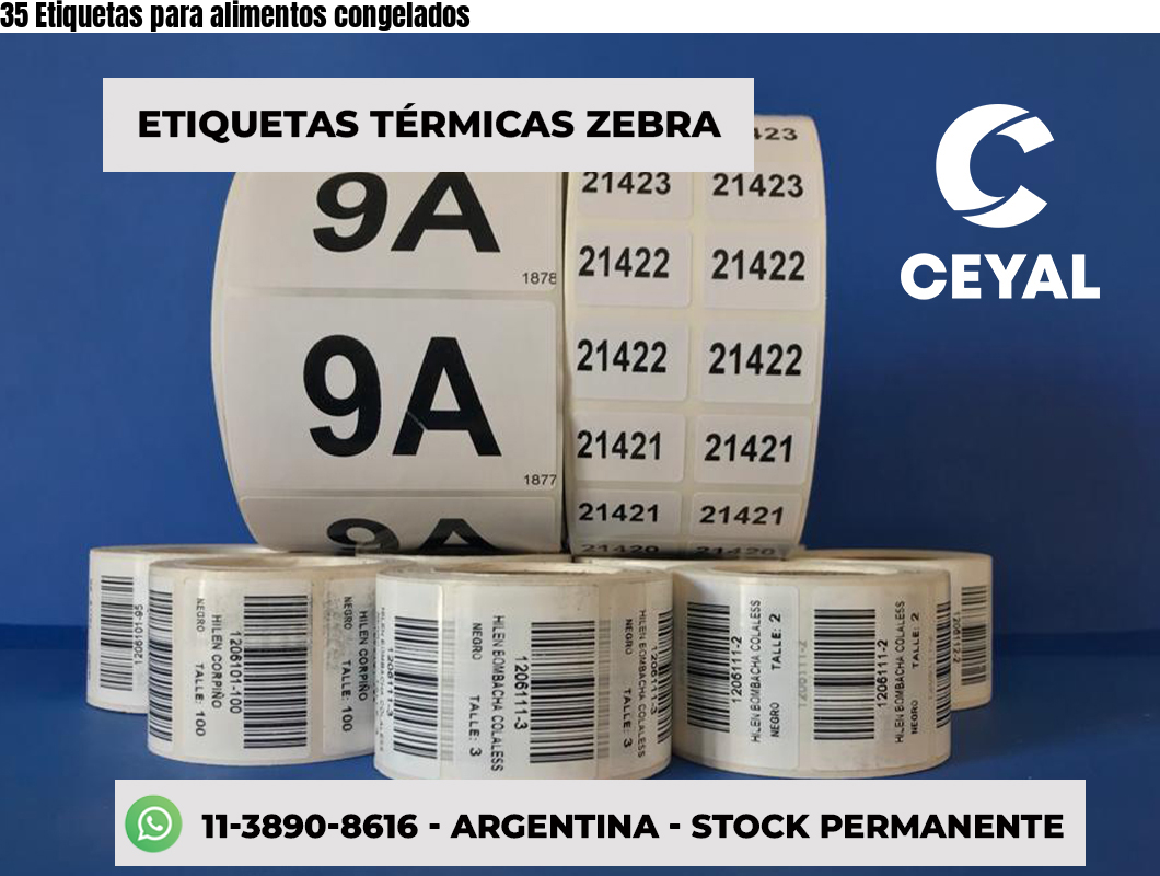 35 Etiquetas para alimentos congelados