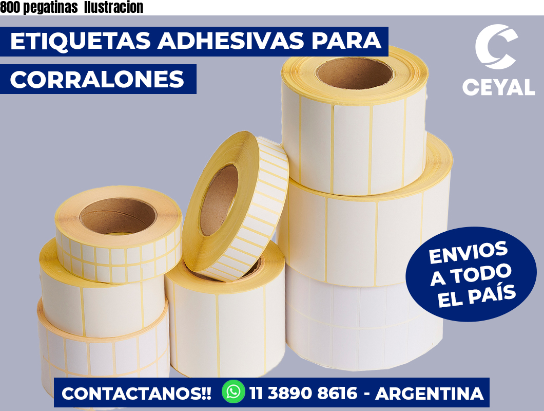 800 pegatinas  Ilustracion