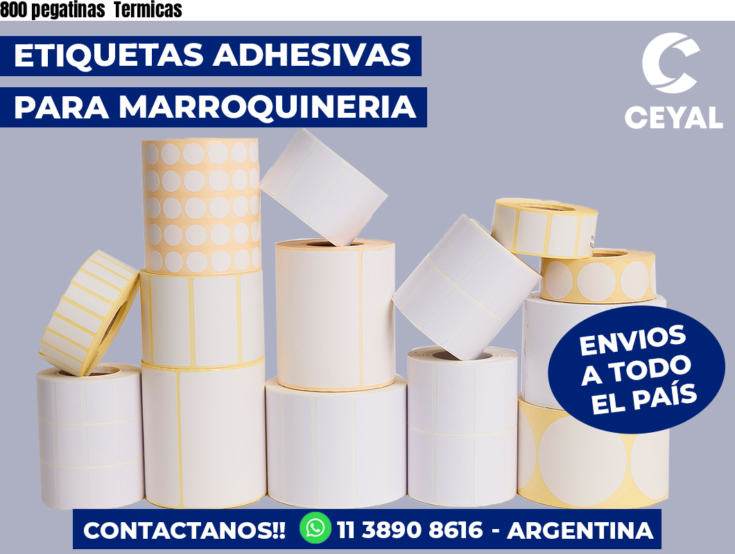 800 pegatinas  Termicas