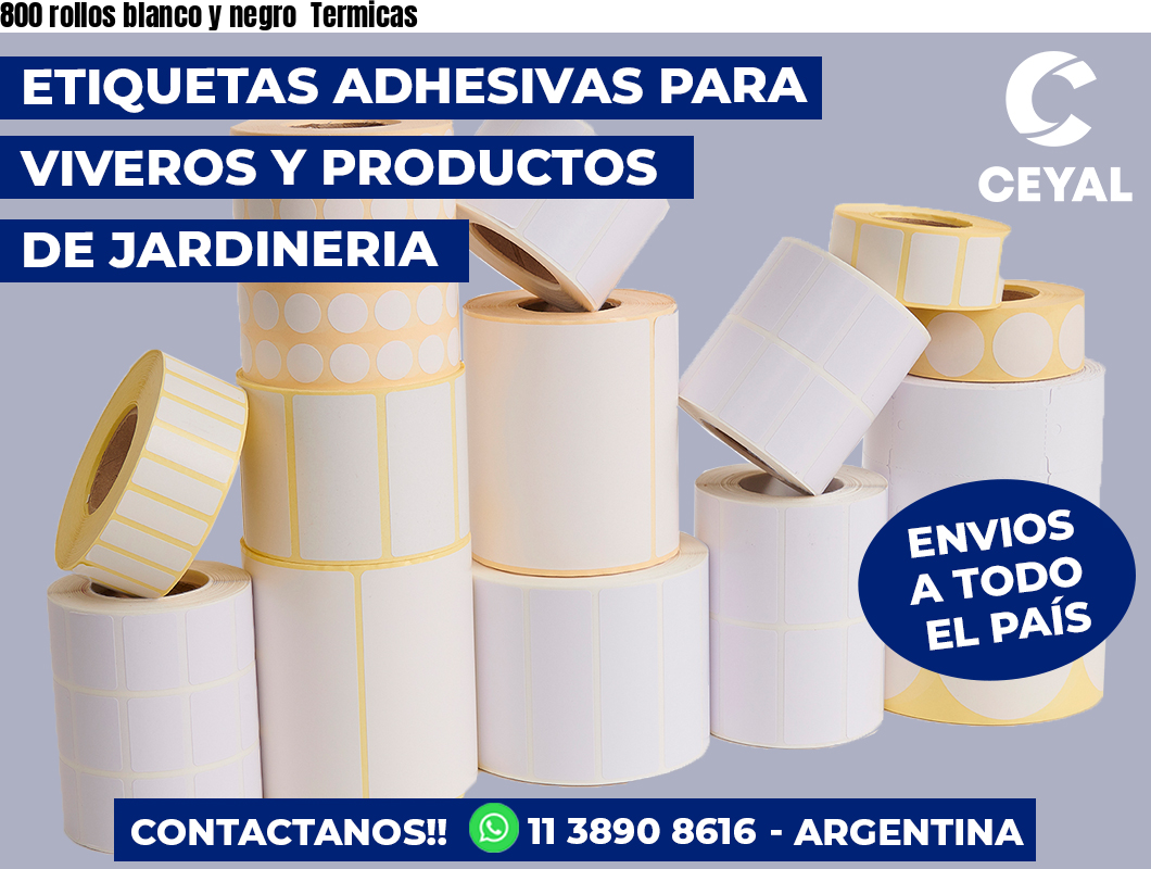 800 rollos blanco y negro Termicas