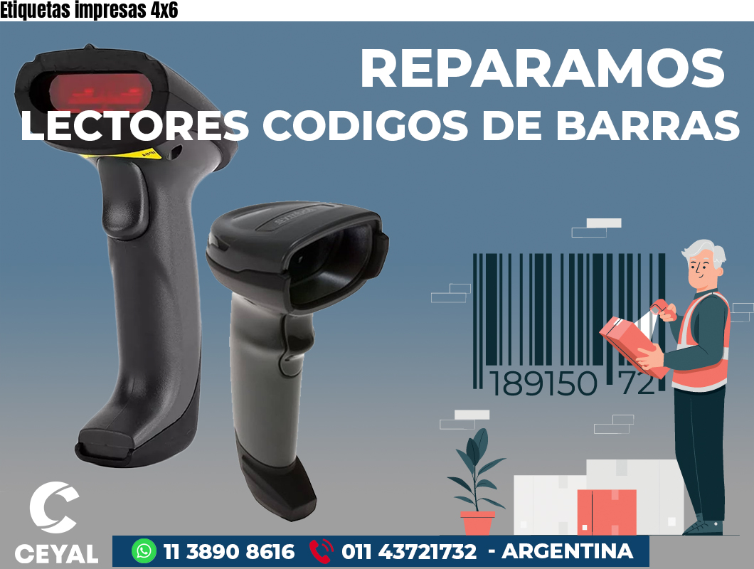 Etiquetas impresas 4x6
