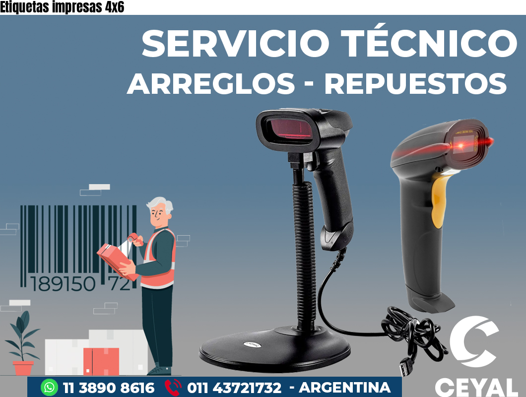 Etiquetas impresas 4x6