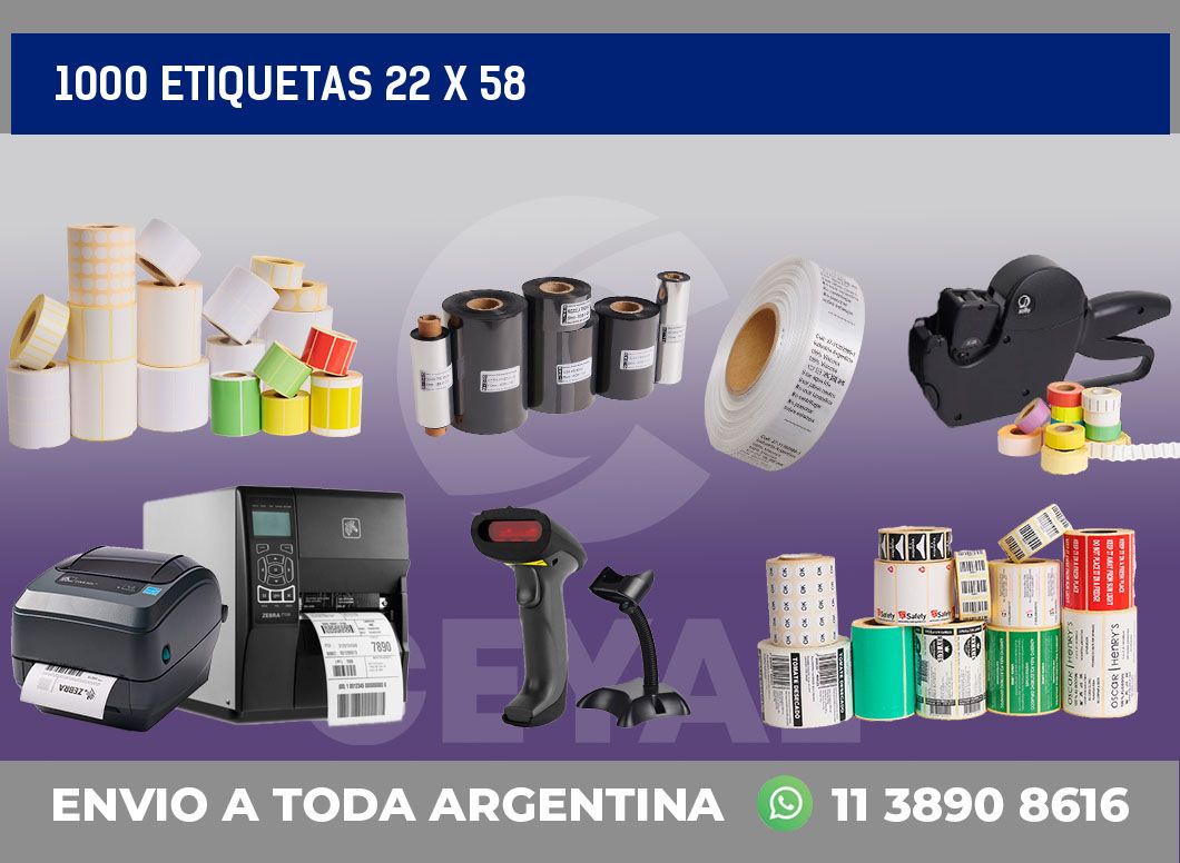 1000 etiquetas 22 x 58