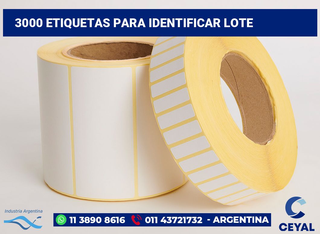 3000 Etiquetas para identificar lote