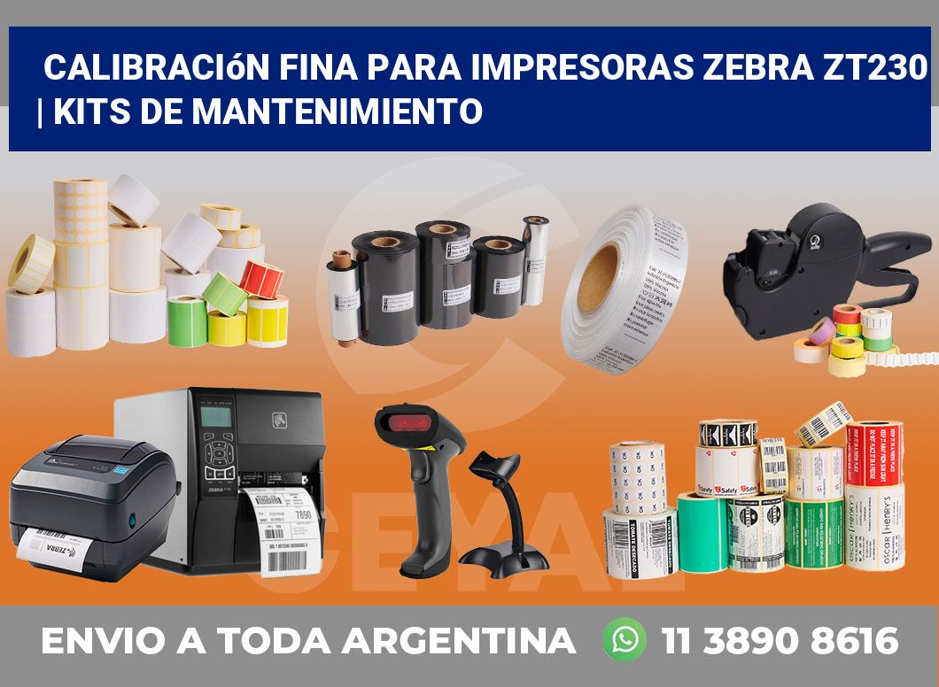 Calibración fina para impresoras Zebra ZT230 | Kits de mantenimiento