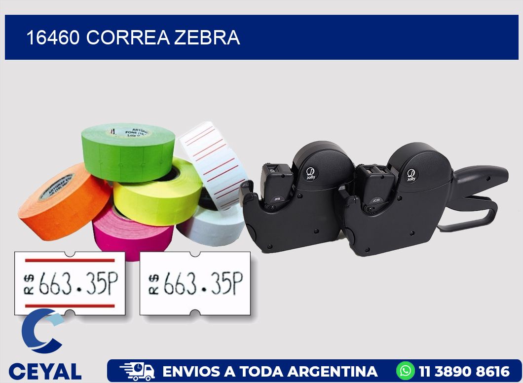 16460 CORREA ZEBRA