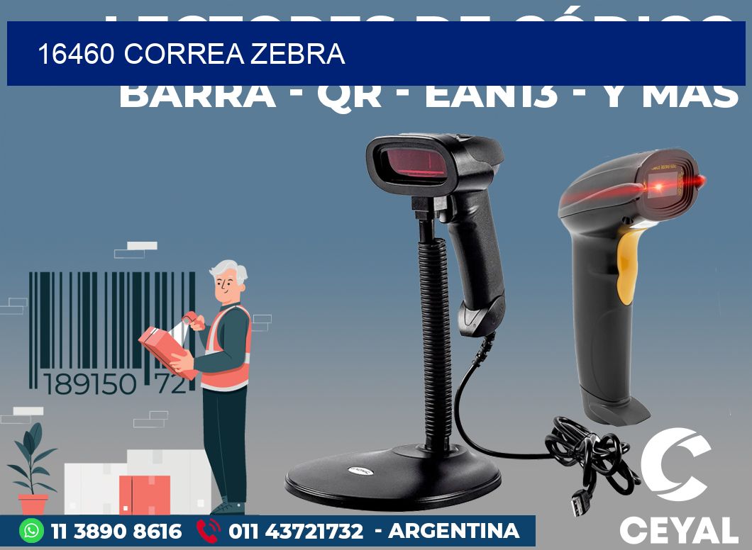 16460 CORREA ZEBRA