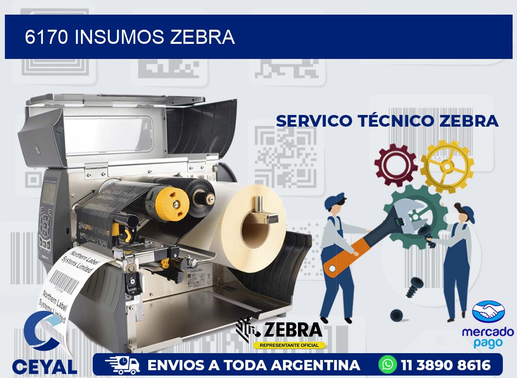 6170 INSUMOS ZEBRA
