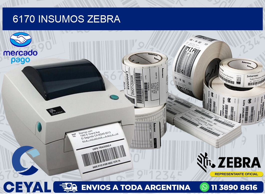 6170 INSUMOS ZEBRA