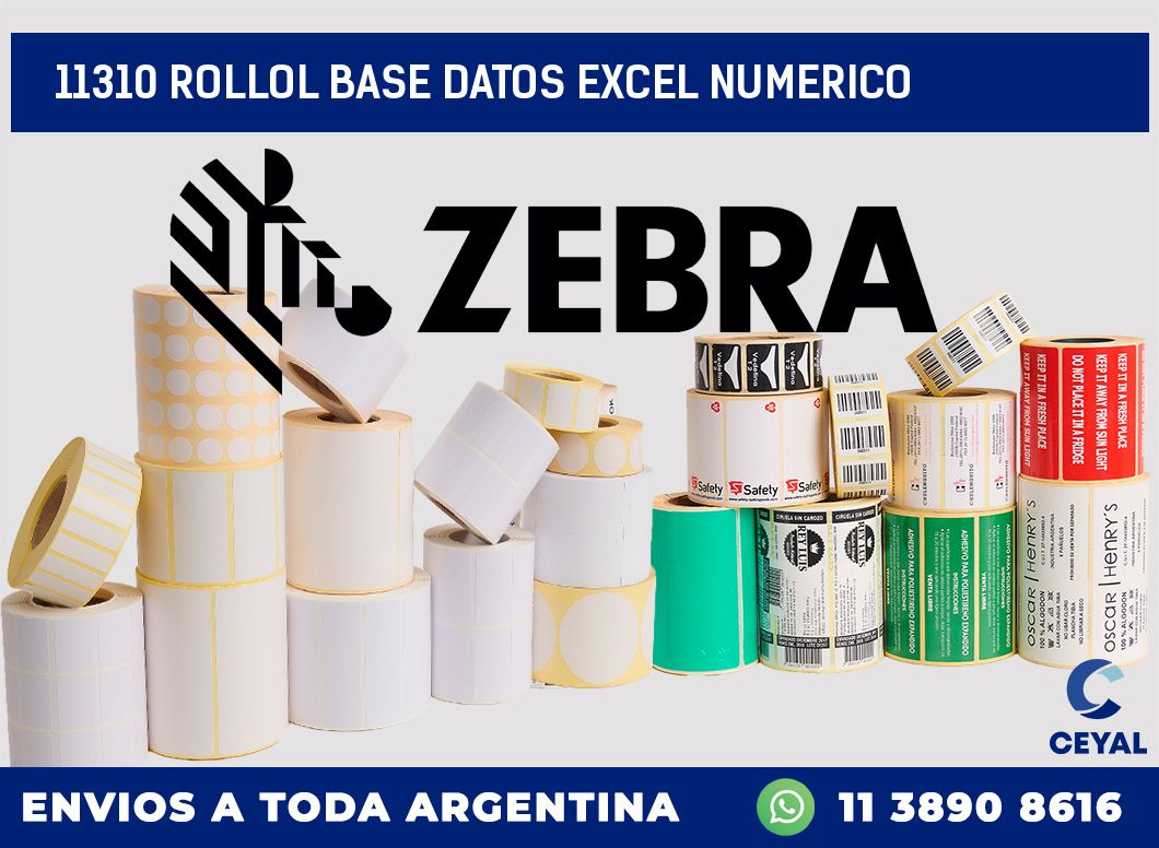 11310 rollol base datos excel numerico