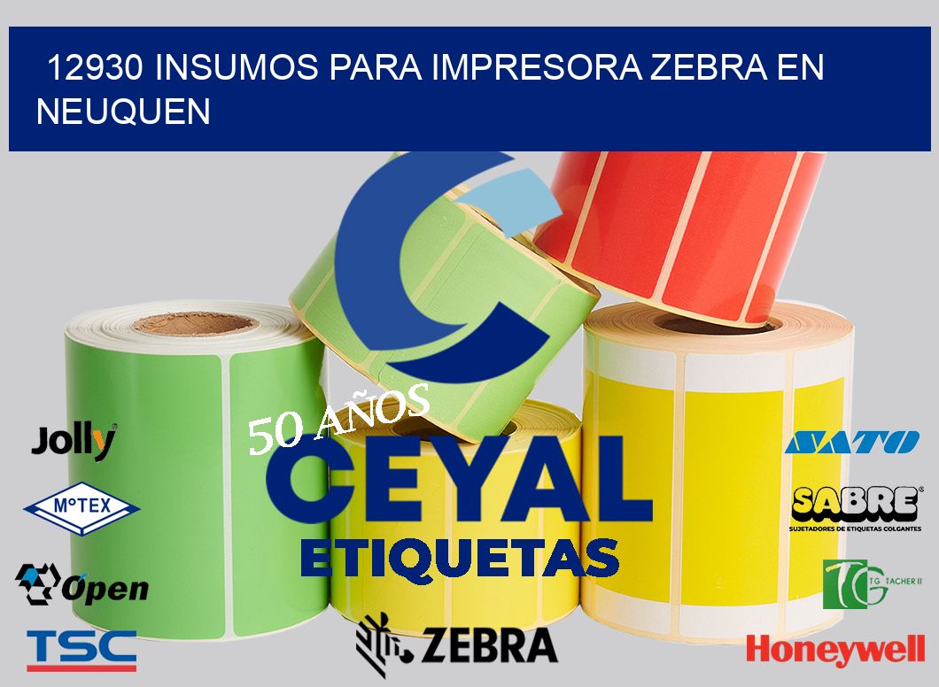 12930 INSUMOS PARA IMPRESORA ZEBRA EN NEUQUEN