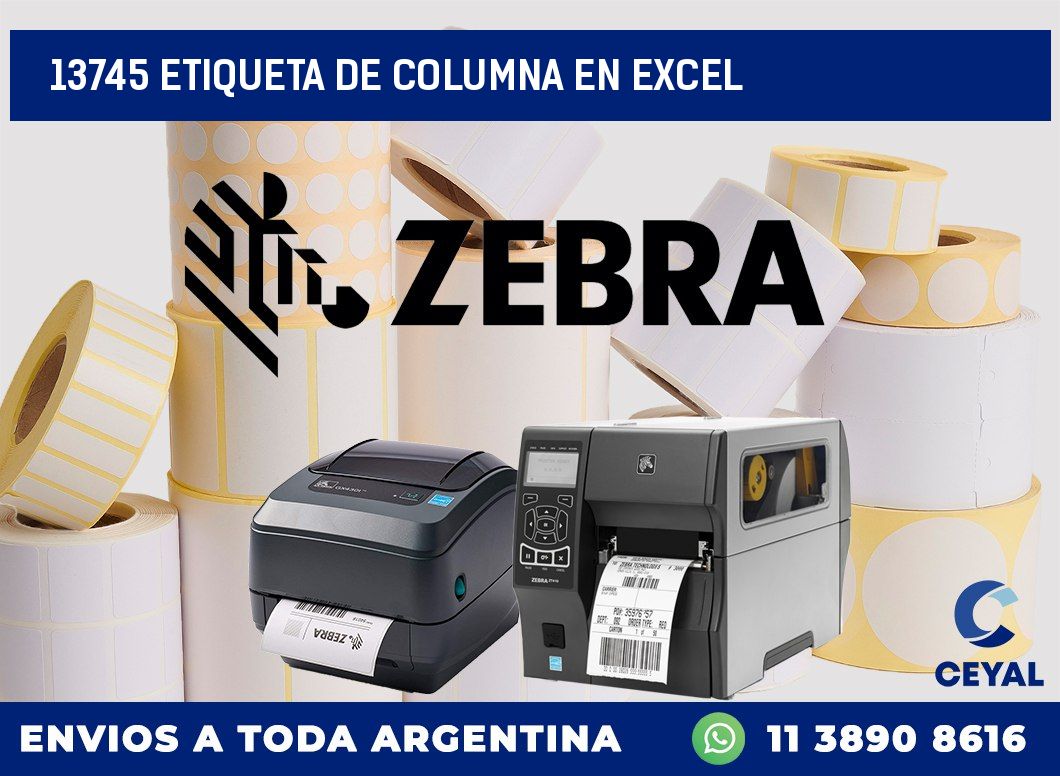 13745 Etiqueta de columna en Excel