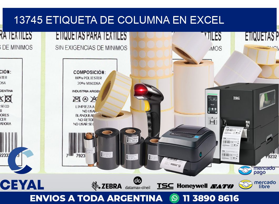 13745 Etiqueta de columna en Excel