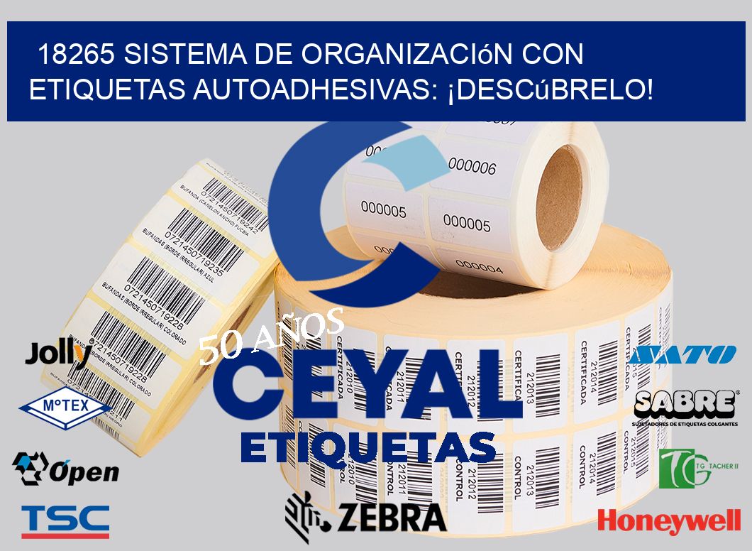 18265 Sistema de Organización con Etiquetas Autoadhesivas: ¡Descúbrelo!