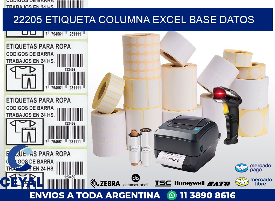 22205 etiqueta columna excel base datos