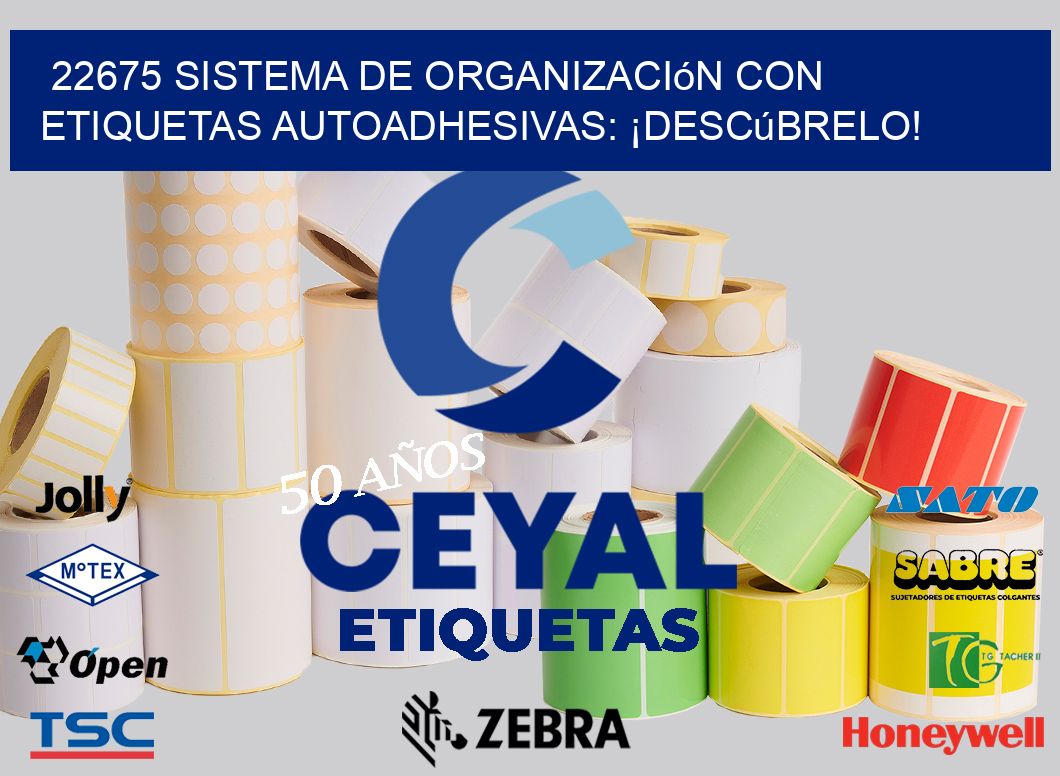 22675 Sistema de Organización con Etiquetas Autoadhesivas: ¡Descúbrelo!