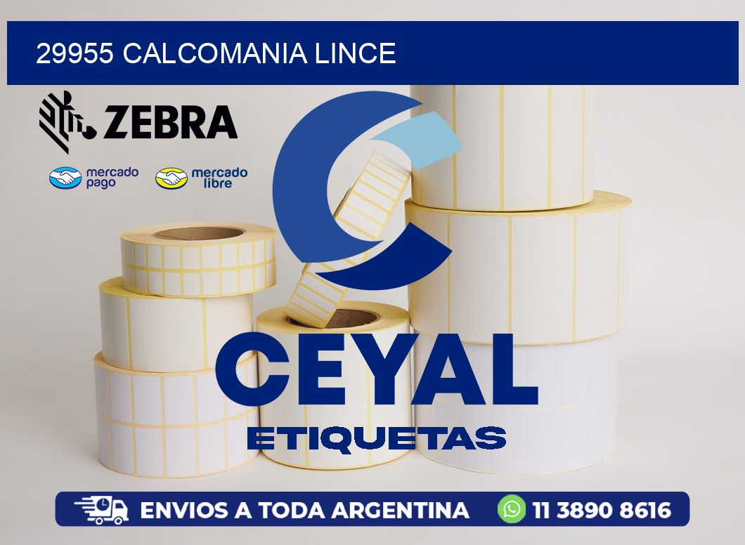 29955 CALCOMANIA LINCE