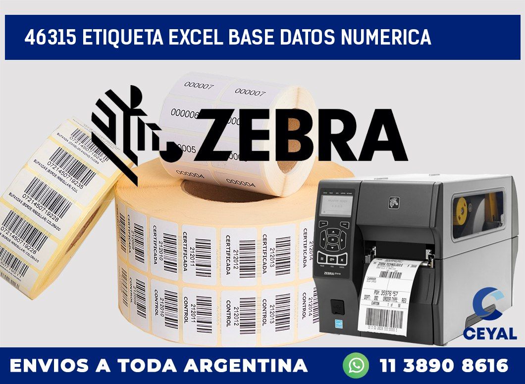 46315 etiqueta excel base datos numerica