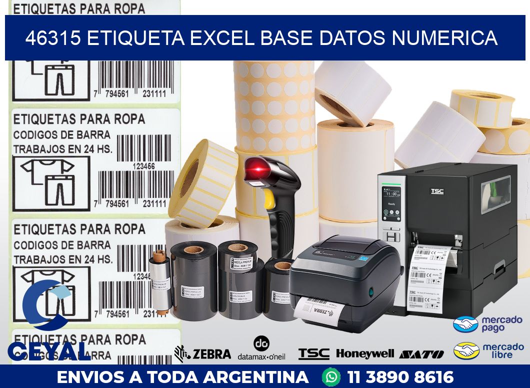46315 etiqueta excel base datos numerica