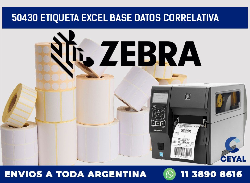 50430 etiqueta excel base datos correlativa