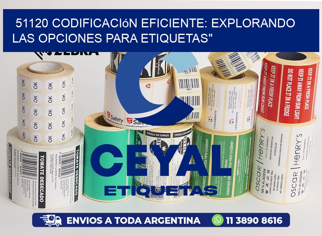 51120 Codificación Eficiente: Explorando las Opciones para Etiquetas