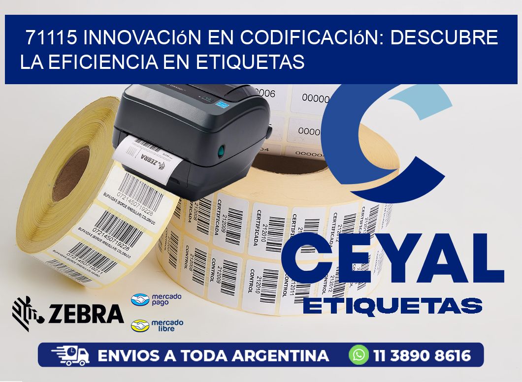 71115 Innovación en Codificación: Descubre la Eficiencia en Etiquetas