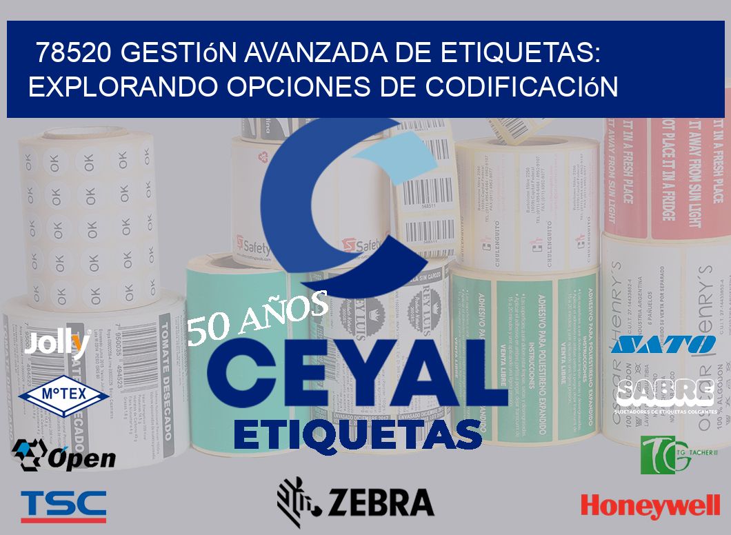 78520 Gestión Avanzada de Etiquetas: Explorando Opciones de Codificación