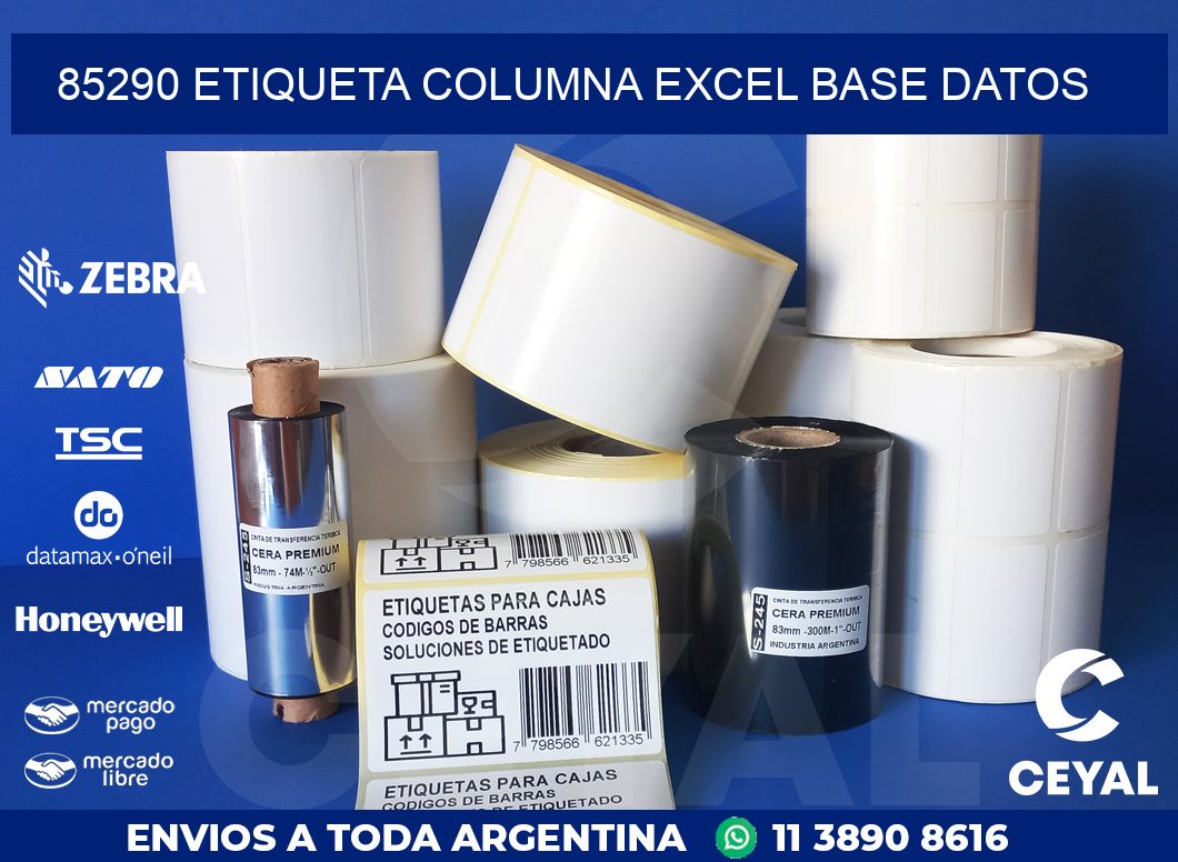 85290 etiqueta columna excel base datos