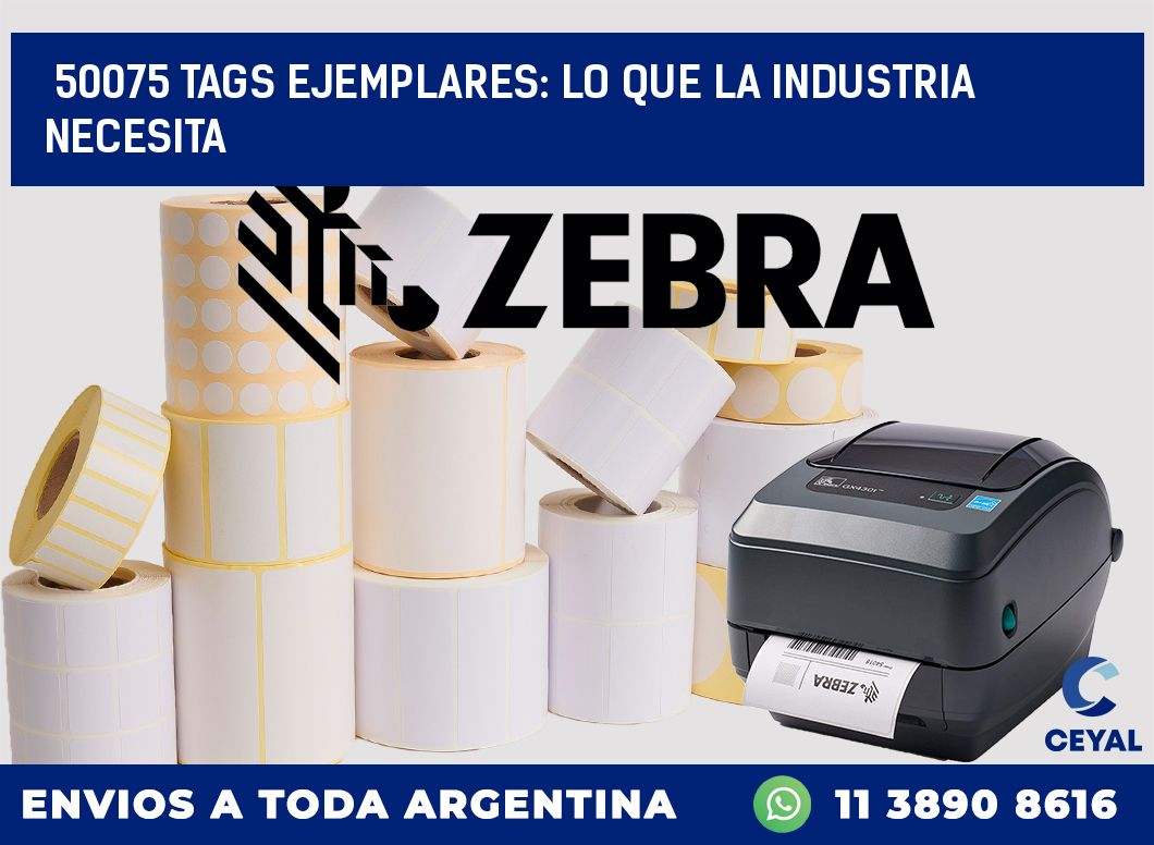 50075 TAGS EJEMPLARES: LO QUE LA INDUSTRIA NECESITA