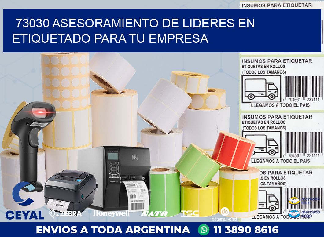 73030 ASESORAMIENTO DE LIDERES EN ETIQUETADO PARA TU EMPRESA