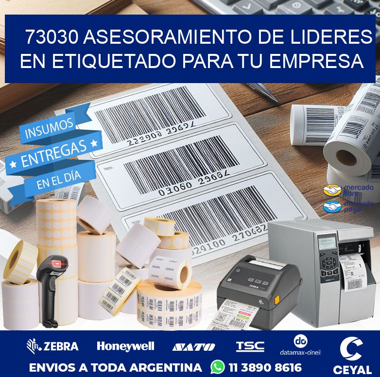 73030 ASESORAMIENTO DE LIDERES EN ETIQUETADO PARA TU EMPRESA