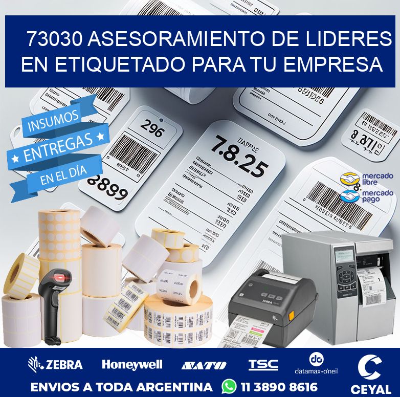73030 ASESORAMIENTO DE LIDERES EN ETIQUETADO PARA TU EMPRESA