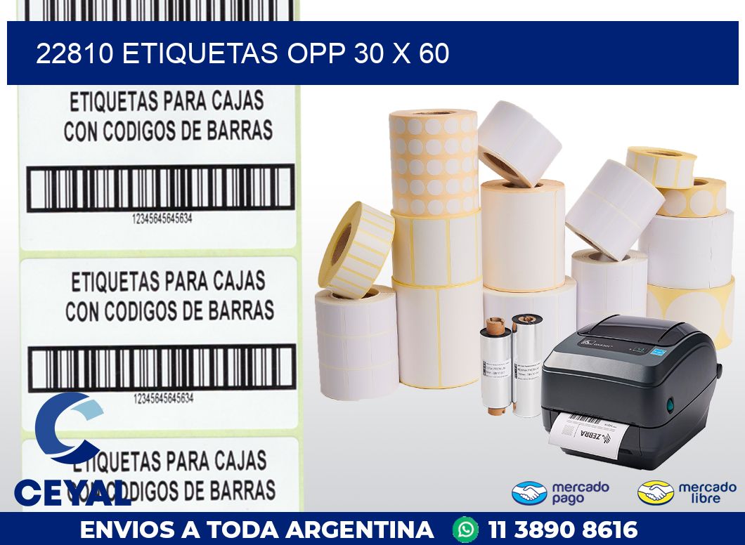 22810 ETIQUETAS OPP 30 X 60